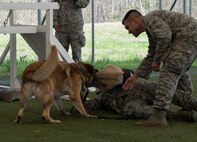 K-9 Heroes: 2nd SFS honors MWD