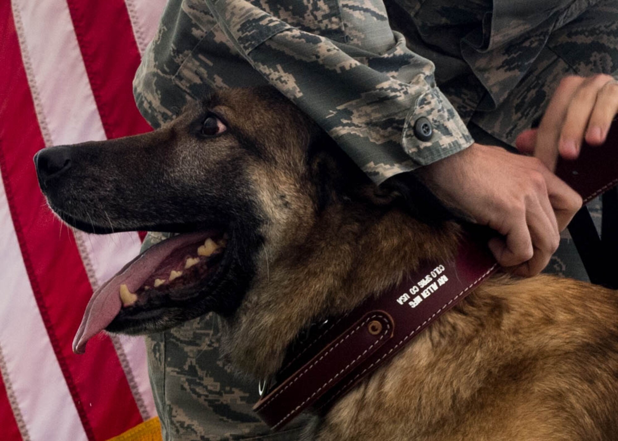 K-9 Heroes: 2nd SFS honors MWD