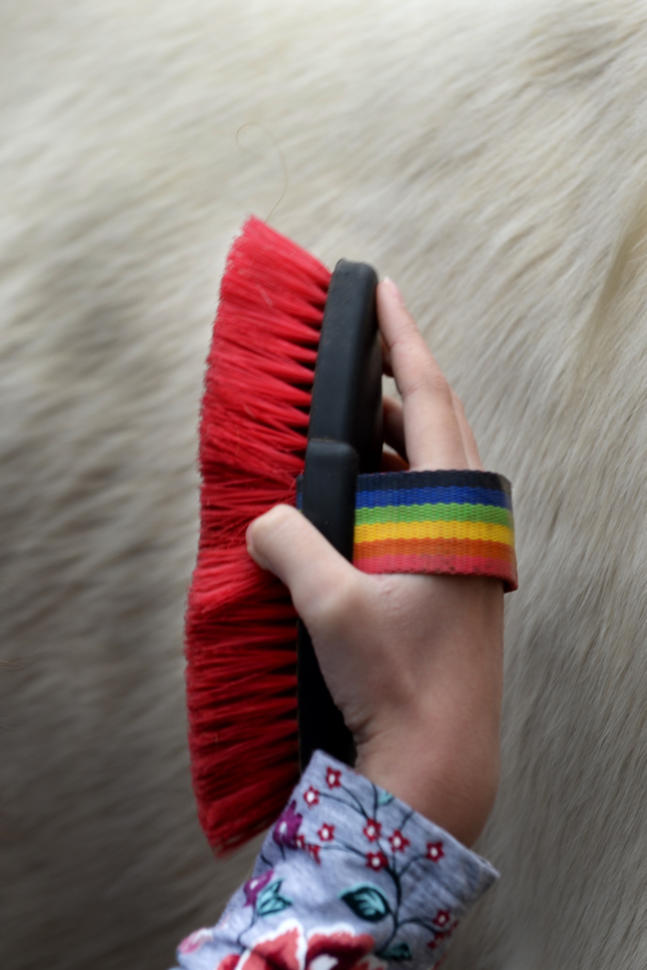 A hand wearing a gray shirt with flowers is holding a brush with red thistles and a rainbow strap.