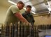 U.S. Air Force Airman 1st Class Aaron Frances, 20th Equipment Maintenance Squadron (EMS) conventional maintenance crew chief, left, and Staff Sgt. Richard Olney, 20th EMS munitions inspector collect 20 mm rounds at Shaw Air Force Base, S.C., March 14, 2018.