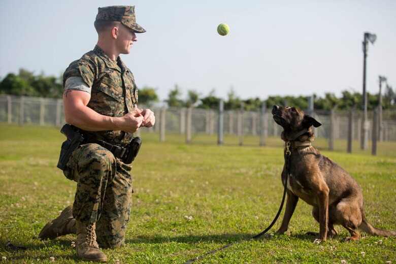 hunters keep kennels