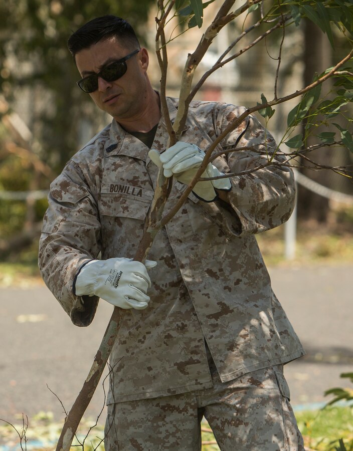 U.S. Marine Corps GySgt. Luis Bonilla, communications chief with Marine Rotational Force (MRF) Darwin (advanced party), helps clean up debris at Larrakeyah Defence Precinct, Darwin, NT, Australia March 18, 2018. Marines and Australian Defence Force service members aided in cleaning up debris found throughout the installation after Tropical Cyclone Marcus swept across parts of the northern coast of Australia. The Marines are part of an advanced echelon preparing for MRF-D. (U.S. Marine Corps photos by Lance Cpl. Mason Roy)