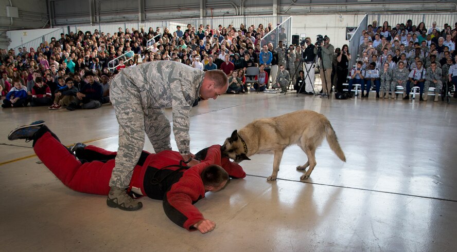 U.S. Air Force Staff. Sgt. Matthew McElyea, a K-9 trainer assigned 6th Security Forces Squadron, practices a bite scenario with trained military working dog, Jecky, during the Science, Technology, Engineering, Arts and Math (STEAM) Day at MacDill Air Force Base, Fla., March 21, 2018.