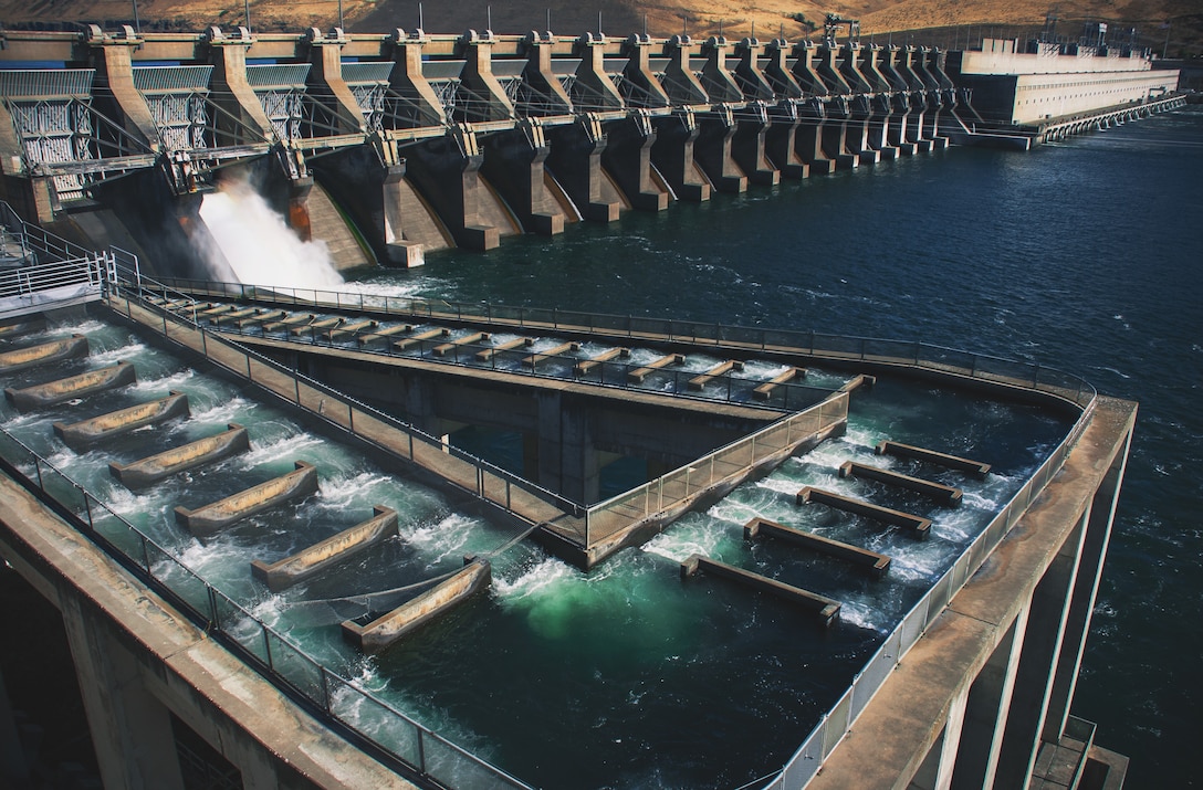 The fish ladder at John Day Lock and Dam allows adult fish to migrate upstream of the dam on their own. These are important aspects of the U.S. Army Corps of Engineers' fish passage facilities as they allow fish to travel at all times.