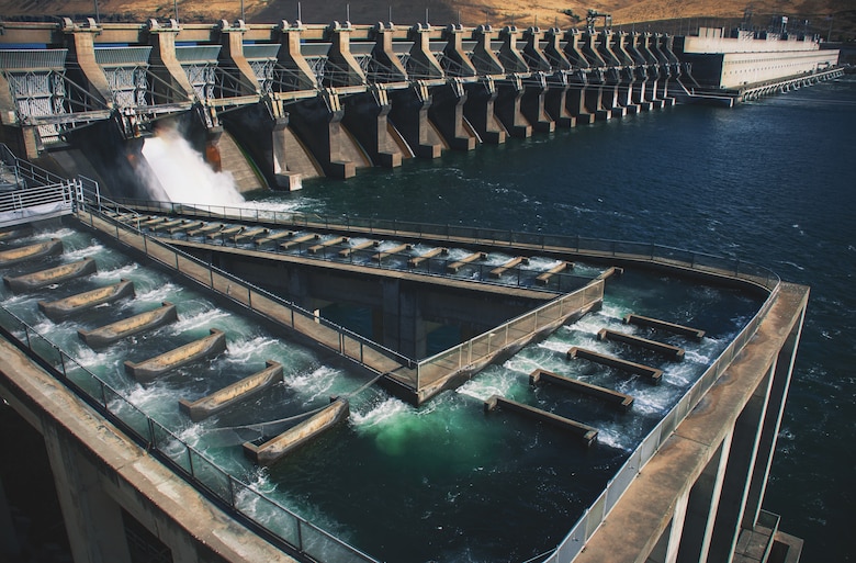 The fish ladder at John Day Lock and Dam allows adult fish to migrate upstream of the dam on their own. These are important aspects of the U.S. Army Corps of Engineers' fish passage facilities as they allow fish to travel at all times.