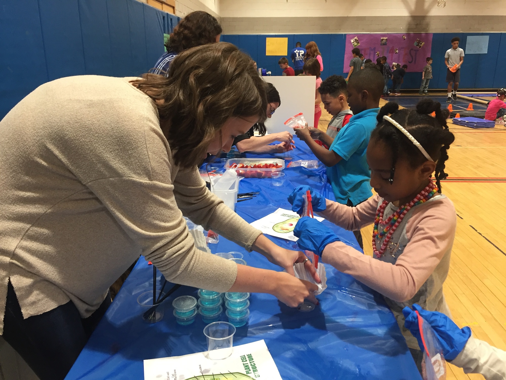 Christina Davis, student research assistant with the 711th Human Performance Wing, Air Force Research Laboratory, assists a student with identifying plant cell structures by extracting visible DNA from crushed and strained strawberries during STEMfest 3.14.  (Skywrighter photo/Amy Rollins)