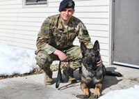 military working dog