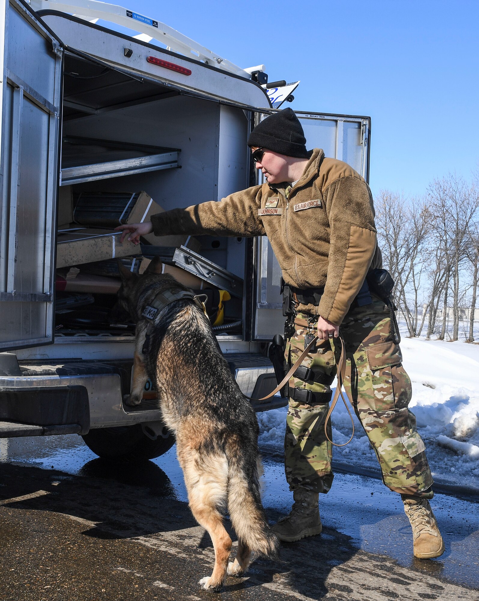 military working dog