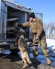 military working dog