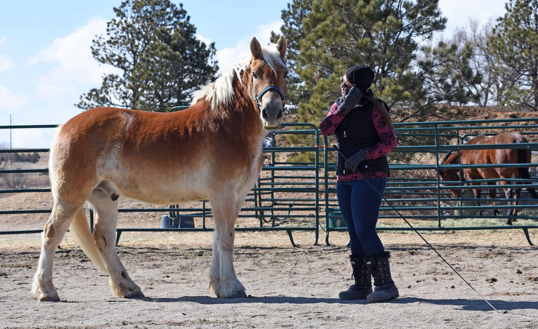 Pikes Peak Therapeutic Riding Center staff member Amy May and therapeutic horse Bear work on training in a round pen on PPTRC grounds in Colorado Springs on Monday, Mar. 5th, 2018.