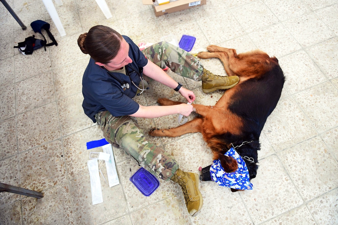 A soldier provides care to a dog.