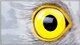 The Eagle Eyes program gives the power of reporting suspicious or unnerving behavior to all active duty, dependents and civilian personnel at Dover Air Force Base, Del., to the 436th Security Forces at (302) 677-6664 or Air Force Office of Special Investigation at (302) 677-2852.  (U.S. Air Force graphic by Senior Airman Deana Heitzman)