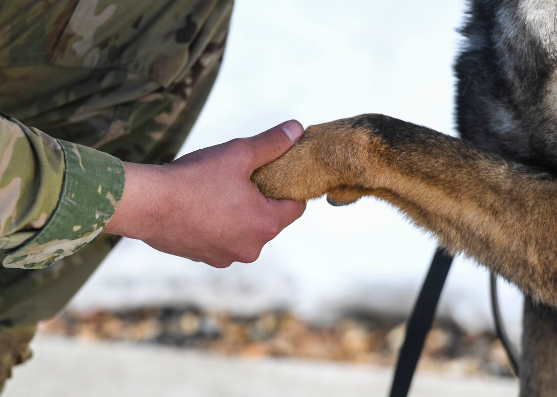 An airman shakes his dog's paw.