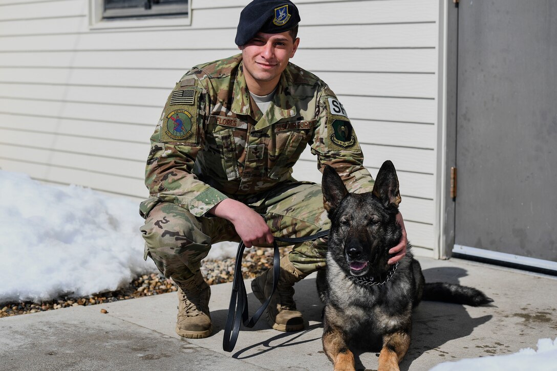 An airman kneels next to a military working dog.