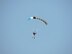 509th CES Airman's skydiving passion