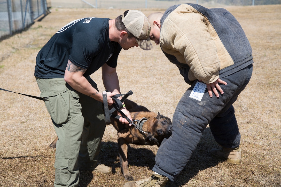 A student, right, participates in bite training during U.S. Marine Corps Forces, Special Operations Command’s Combat Support Orientation Course at the multipurpose canine training facility aboard Marine Corps Base Camp Lejeune, N.C., March 22, 2018. MCSOC is designed to provide Marines interested in serving a tour of duty at MARSOC as a special operations capability specialist with the knowledge of what professional, mental, and physical attributes are desired for a potential assignment to MARSOC. (U.S. Marine Corps photo by Cpl. Bryann K. Whitley/released)