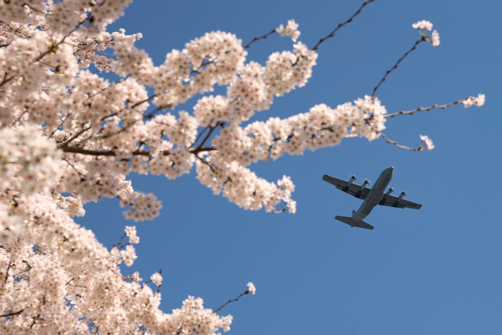 An Air Force C-130J Super Hercules assigned to the 36th Airlift Squadron flies over Yokota Air Base