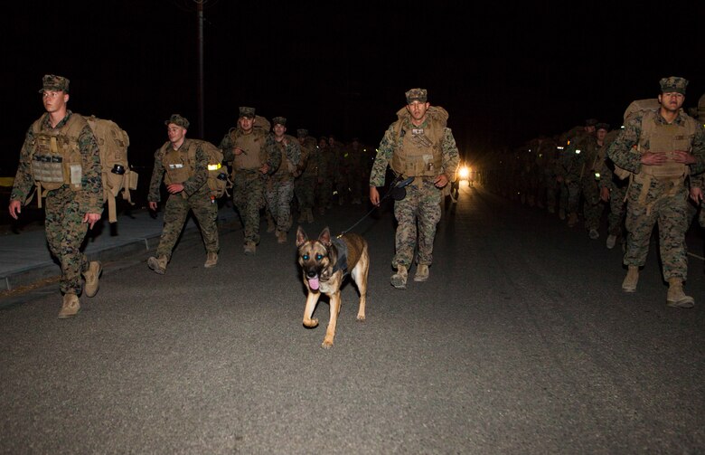 Marines with Alpha Company, Headquarters Battalion participate in a 6 mile company hike aboard the Marine Corps Air Ground Combat Center, Twentynine Palms, Calif., March 23, 2018. The Marines regularly conduct company level physical training events in order to maintain physical readiness for upcoming field operations. (U.S. Marine Corps photo by Lance Cpl. Jennessa Davey)