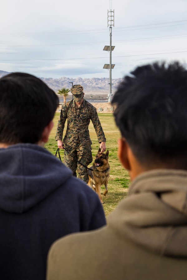 A Marine with the Provost Marshal’s Office performs a K-9 unit display during the Desert Hot Springs High School Public Safety Academy’s visit aboard the Marine Corps Air Ground Combat Center, Twentynine Palms, Calif., March 22, 2018. (Official Marine Corps photo by Cpl. Dave Flores)