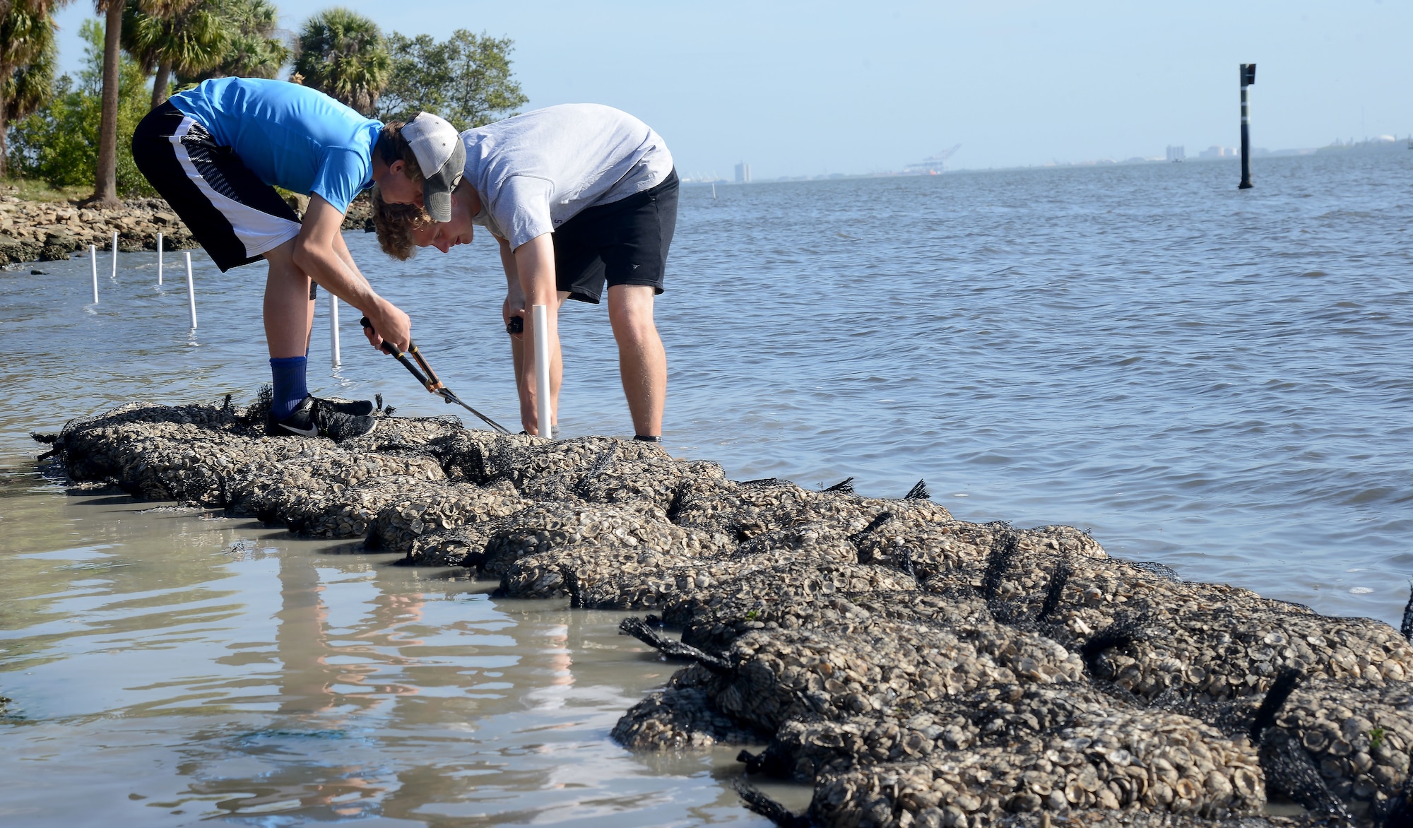 Boy Scouts from the local community cut shell bags during an oyster reef build at MacDill Air Force Base, Fla., March 30, 2018.