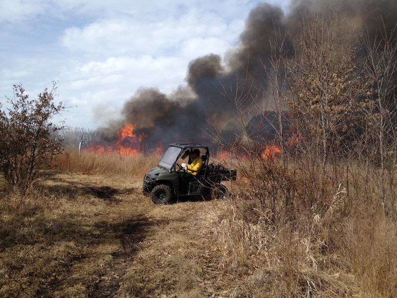 This burning practice improves wildlife populations, removes woody vegetation encroachment and provides food sources for young animals and insects. With a clean slate, diversity in new plants and wildlife, such as quail, pheasant and song birds appear making bird watching plentiful.