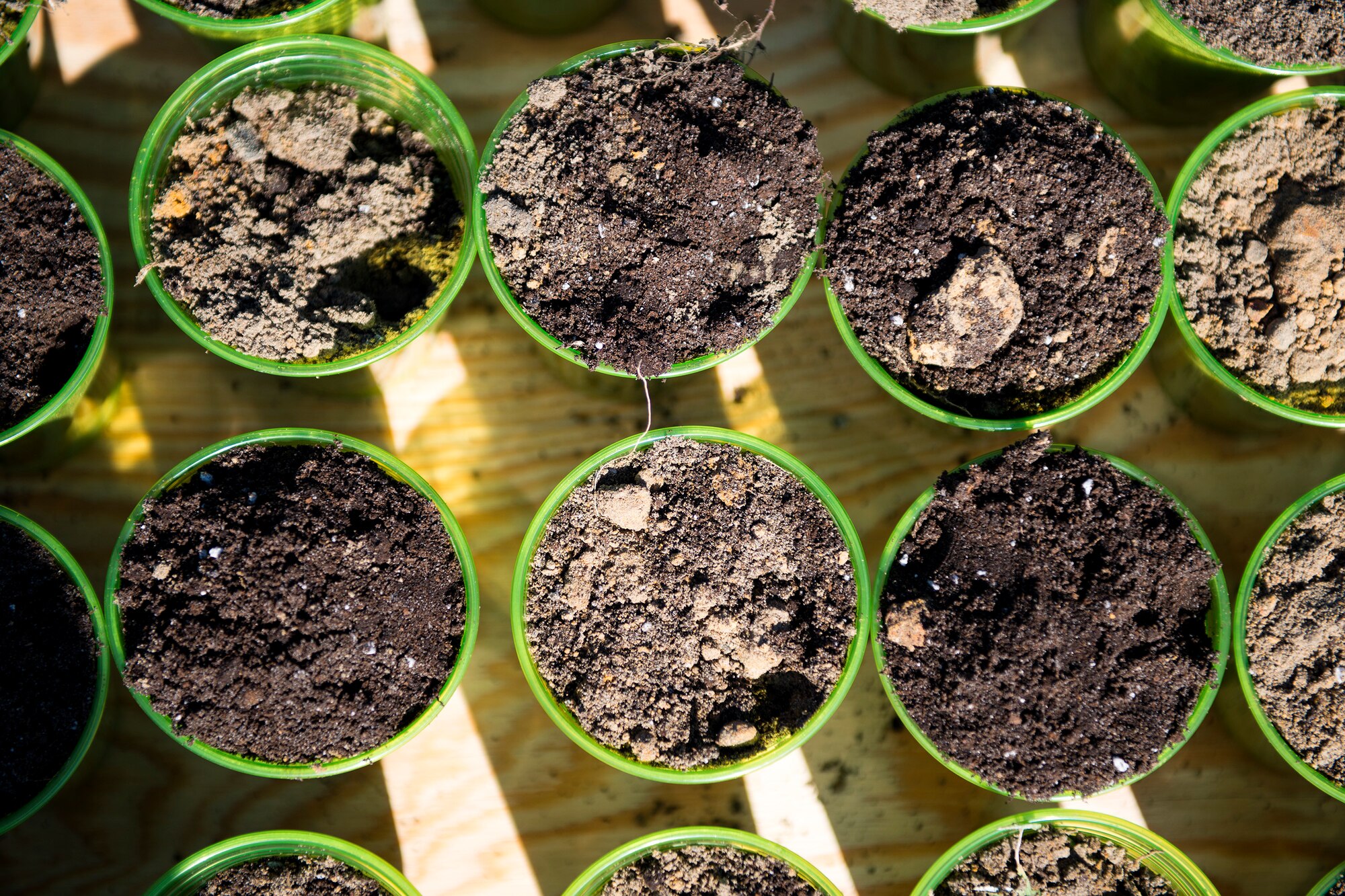 Cups of dirt rest on a table during Arbor Day, April 27, 2018, at Moody Air Force Base, Ga. Moody annually celebrates the holiday which encourages the benefits of planting trees. For 19 years the base has been a part of the Tree City USA Program by the National Arbor Day Foundation, to better prepare for the future of caring for their Airmen through improved ecological sustainability. (U.S. Air Force photo by Airman 1st Class Erick Requadt)