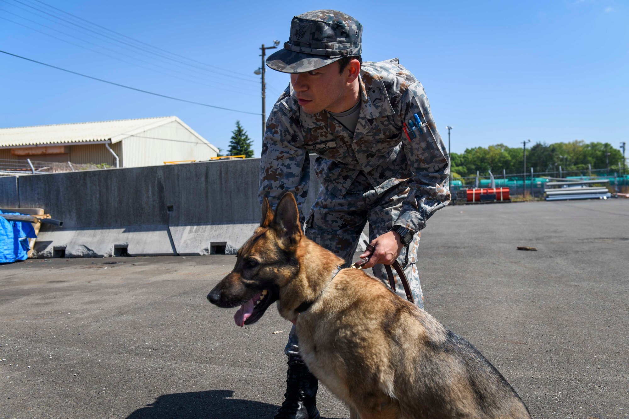 374th SFS MWD Section