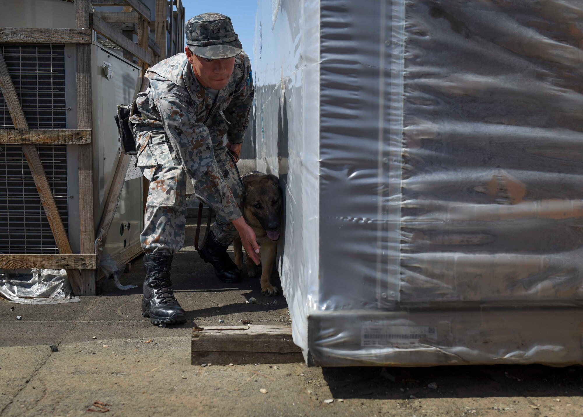 374th SFS MWD Section