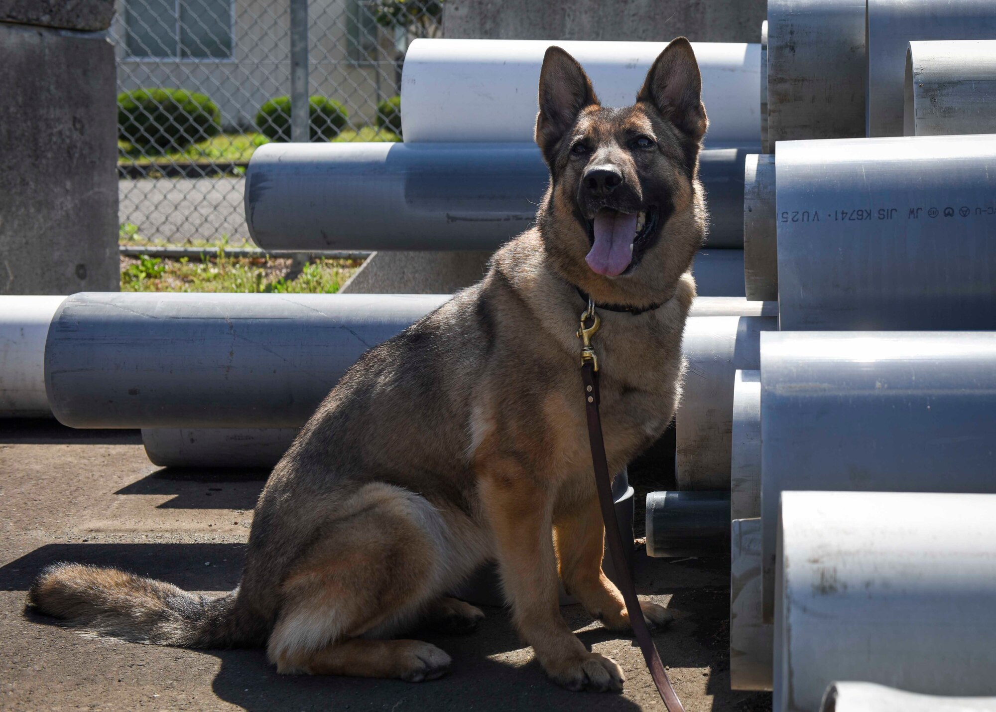 374th SFS MWD Section