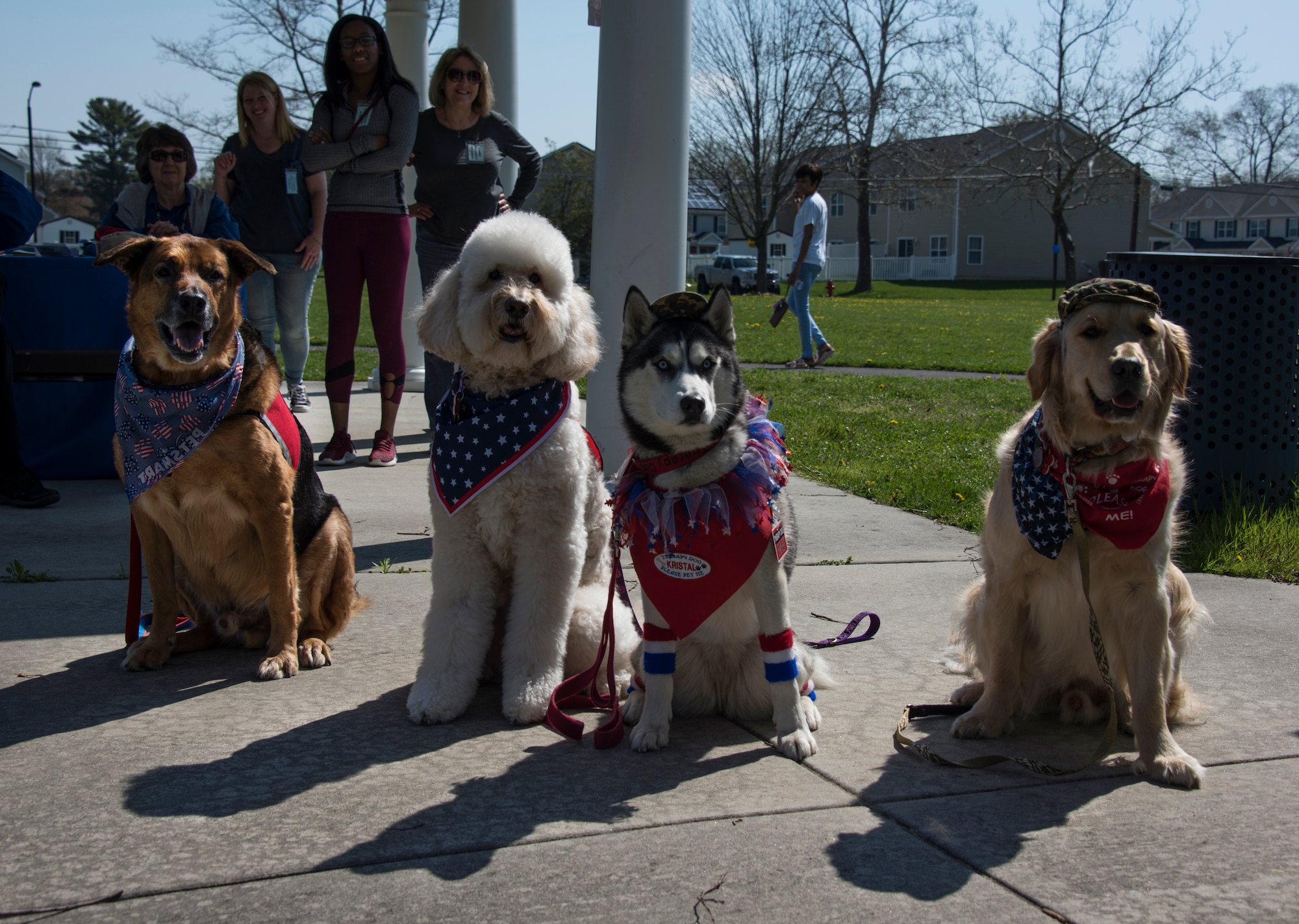 Therapy dogs from the Family Advocacy Program pose for a picture during a Kids on Wheels Parade on Joint Base McGuire-Dix-Lakehurst, N.J., April 28, 2018. Family Advocacy had multiple stations at the parade to educate the community about what they offer service members and their families. (U.S. Air Force photo by Airman Ariel Owings)