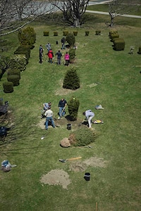 Arbor Day at NUWC Newport features memorial tree plantings, field of evergreens