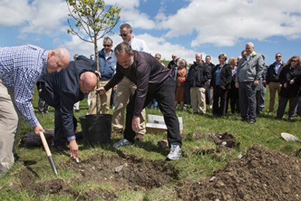 Arbor Day at NUWC Newport features memorial tree plantings, field of evergreens