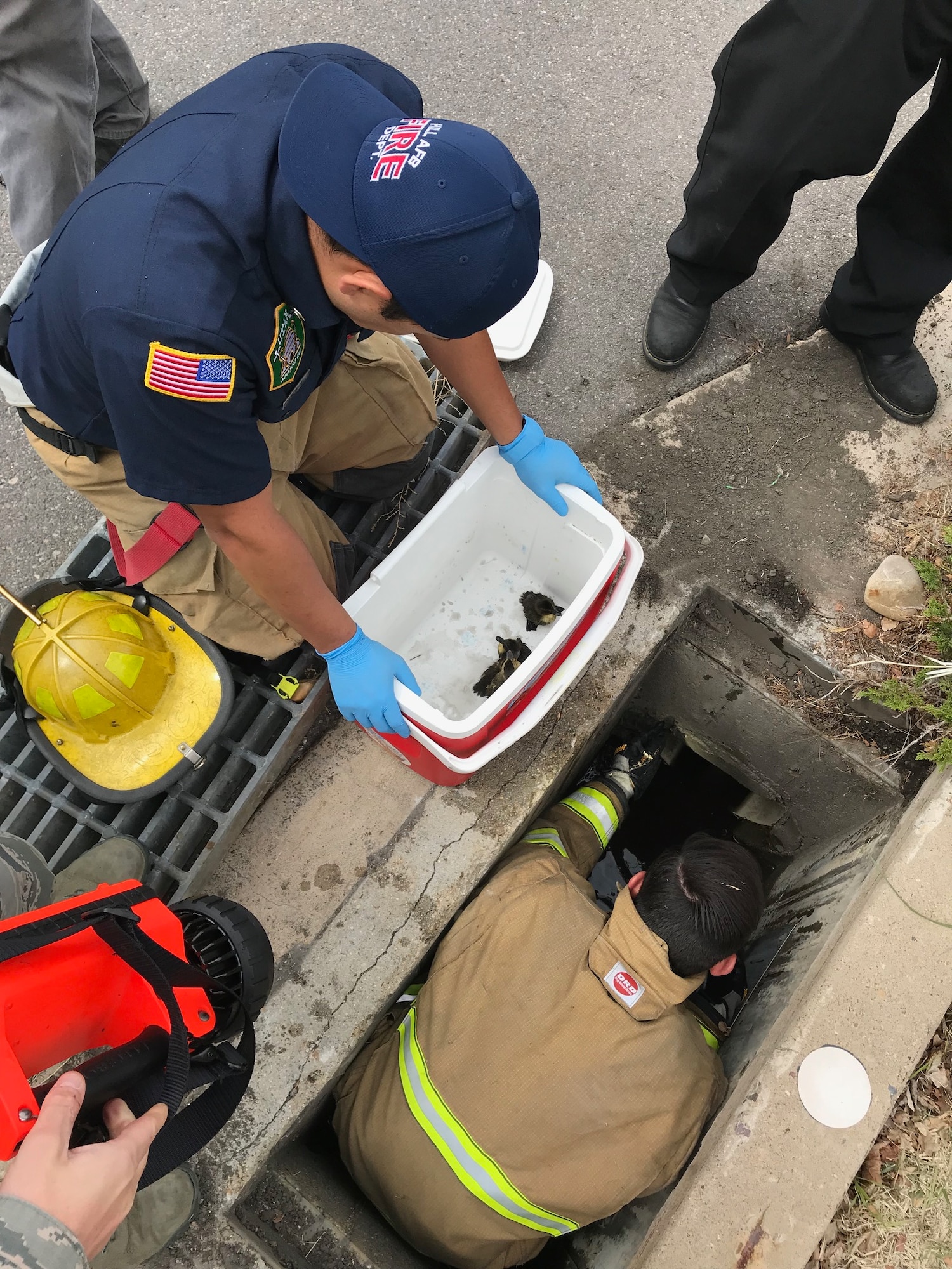 Firefighters were called to a parking lot near building 430 on 6th Street May 2, 2018, at Hill Air Force Base, Utah, to rescue baby ducks stuck in a storm drain. (Courtesy photo)