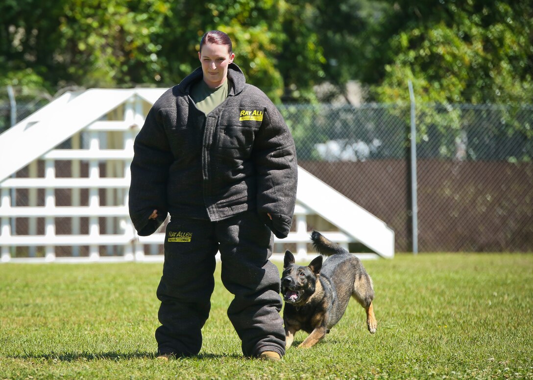 Lance Cpl. Sarahann Temple assists in a Military Working Dog demonstration aboard Marine Corps Air Station Beaufort May 1. The demonstration was held for students from Beaufort Middle School to showcase one of the main assets of the air station. Temple is a military policeman with the Provost Marshals Office.