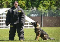 Lance Cpl. Sarahann Temple assists in a Military Working Dog demonstration aboard Marine Corps Air Station Beaufort May 1.