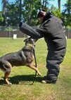 Lance Cpl. Sarahann Temple assists in a Military Working Dog demonstration aboard Marine Corps Air Station Beaufort May 1.