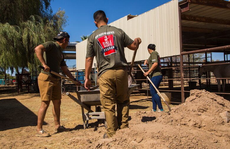 U.S. Marines stationed on Marine Corps Air Station (MCAS) Yuma, Ariz., volunteer with Saddles of Joy, a local organization that provides therapy to special needs children through animals, Friday, April 20, 2018. While at the Saddles of Joy, the volunteers mucked horse stables, sheared sheep, groomed horses, and provided much needed physical help to the organization. Saddles of Joy was one of the volunteer opportunities provided to Marines aboard MCAS Yuma during the "Days of Service" initiative; other opportunities included the Humane Society of Yuma, the Yuma Food Bank, and Old Souls Animal Farm.