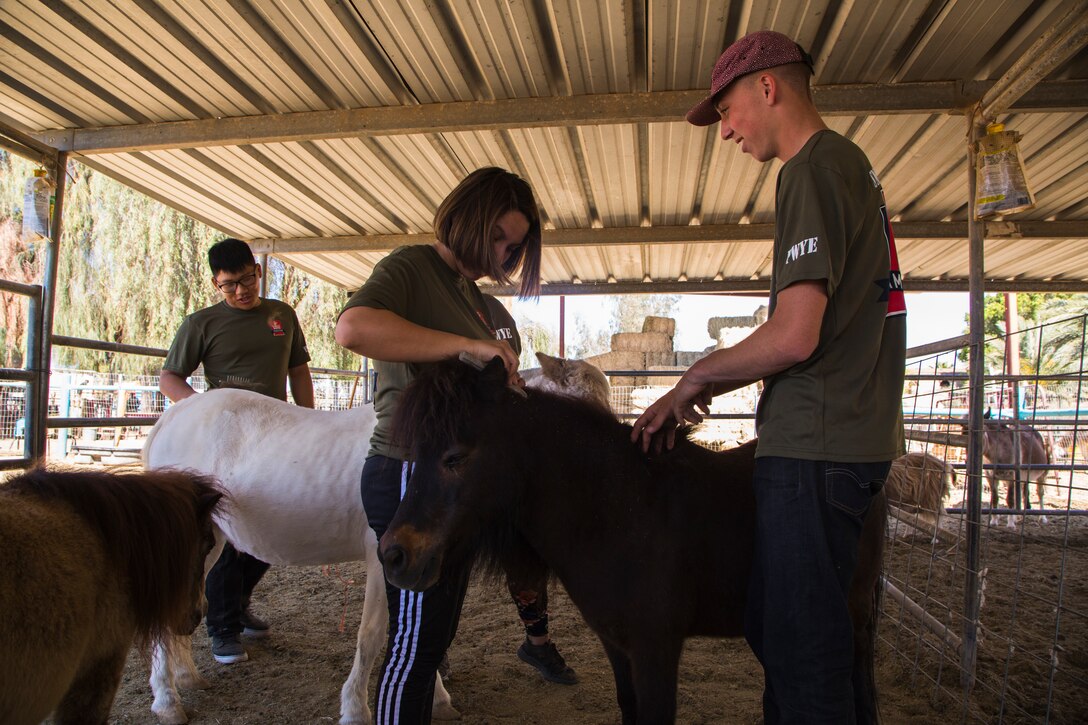 U.S. Marines stationed on Marine Corps Air Station (MCAS) Yuma, Ariz., volunteer with Saddles of Joy, a local organization that provides therapy to special needs children through animals, Friday, April 20, 2018. While at the Saddles of Joy, the volunteers mucked horse stables, sheared sheep, groomed horses, and provided much needed physical help to the organization. Saddles of Joy was one of the volunteer opportunities provided to Marines aboard MCAS Yuma during the "Days of Service" initiative; other opportunities included the Humane Society of Yuma, the Yuma Food Bank, and Old Souls Animal Farm.