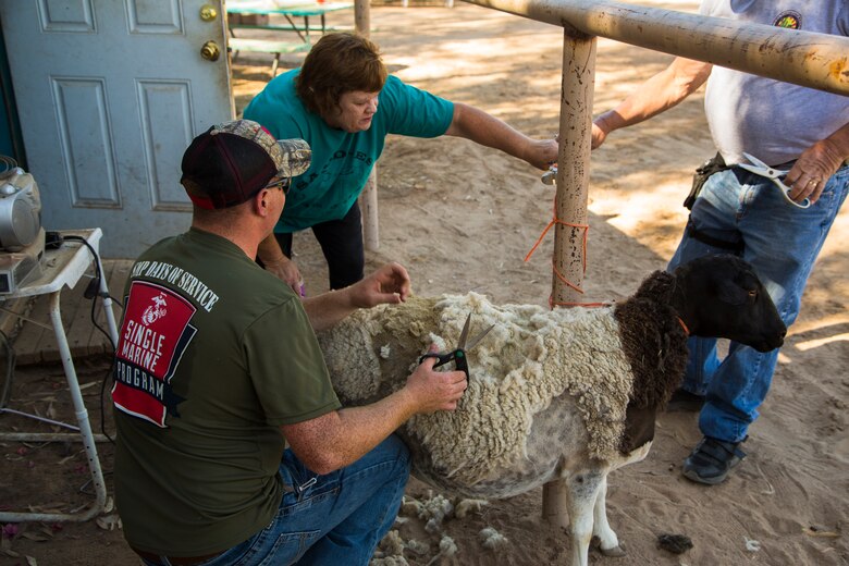 U.S. Marines stationed on Marine Corps Air Station (MCAS) Yuma, Ariz., volunteer with Saddles of Joy, a local organization that provides therapy to special needs children through animals, Friday, April 20, 2018. While at the Saddles of Joy, the volunteers mucked horse stables, sheared sheep, groomed horses, and provided much needed physical help to the organization. Saddles of Joy was one of the volunteer opportunities provided to Marines aboard MCAS Yuma during the "Days of Service" initiative; other opportunities included the Humane Society of Yuma, the Yuma Food Bank, and Old Souls Animal Farm.