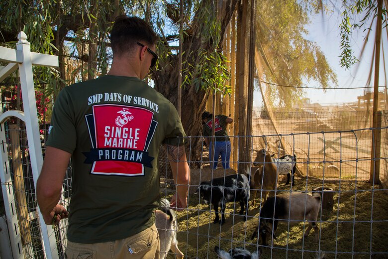 U.S. Marines stationed on Marine Corps Air Station (MCAS) Yuma, Ariz., volunteer with Saddles of Joy, a local organization that provides therapy to special needs children through animals, Friday, April 20, 2018. While at the Saddles of Joy, the volunteers mucked horse stables, sheared sheep, groomed horses, and provided much needed physical help to the organization. Saddles of Joy was one of the volunteer opportunities provided to Marines aboard MCAS Yuma during the "Days of Service" initiative; other opportunities included the Humane Society of Yuma, the Yuma Food Bank, and Old Souls Animal Farm.