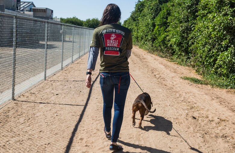 U.S. Marines stationed on Marine Corps Air Station (MCAS) Yuma, Ariz., volunteer with the Humane Society of Yuma Tuesday, April 17, 2018. While at the Humane Society, the volunteers made adoption kits for kittens, walked and played with shelter dogs, and cared for the shelter pets. The Humane Society of Yuma was one of the volunteer opportunities provided to Marines aboard MCAS Yuma during the "Days of Service" initiative; other opportunities included Saddles of Joy, the Yuma Food Bank, and Old Souls Animal Farm.