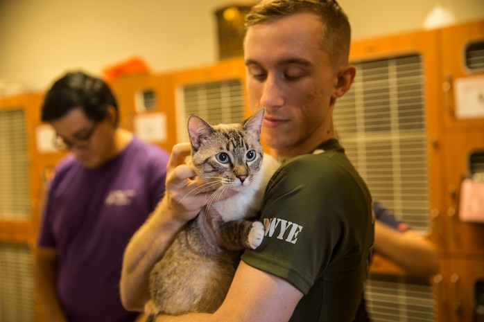 U.S. Marines stationed on Marine Corps Air Station (MCAS) Yuma, Ariz., volunteer with the Humane Society of Yuma Tuesday, April 17, 2018. While at the Humane Society, the volunteers made adoption kits for kittens, walked and played with shelter dogs, and cared for the shelter pets. The Humane Society of Yuma was one of the volunteer opportunities provided to Marines aboard MCAS Yuma during the "Days of Service" initiative; other opportunities included Saddles of Joy, the Yuma Food Bank, and Old Souls Animal Farm.