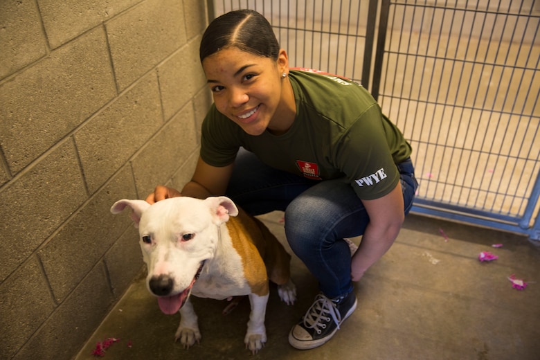 U.S. Marines stationed on Marine Corps Air Station (MCAS) Yuma, Ariz., volunteer with the Humane Society of Yuma Tuesday, April 17, 2018. While at the Humane Society, the volunteers made adoption kits for kittens, walked and played with shelter dogs, and cared for the shelter pets. The Humane Society of Yuma was one of the volunteer opportunities provided to Marines aboard MCAS Yuma during the "Days of Service" initiative; other opportunities included Saddles of Joy, the Yuma Food Bank, and Old Souls Animal Farm.