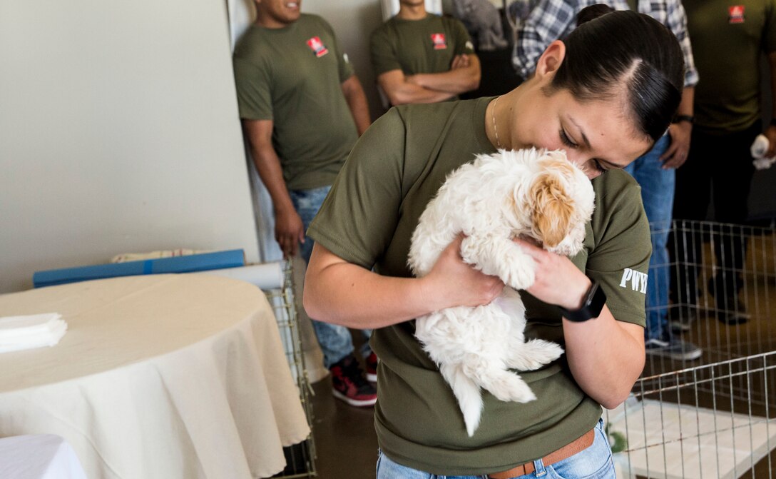 U.S. Marines stationed on Marine Corps Air Station (MCAS) Yuma, Ariz., volunteer with the Humane Society of Yuma Tuesday, April 17, 2018. While at the Humane Society, the volunteers made adoption kits for kittens, walked and played with shelter dogs, and cared for the shelter pets. The Humane Society of Yuma was one of the volunteer opportunities provided to Marines aboard MCAS Yuma during the "Days of Service" initiative; other opportunities included Saddles of Joy, the Yuma Food Bank, and Old Souls Animal Farm.