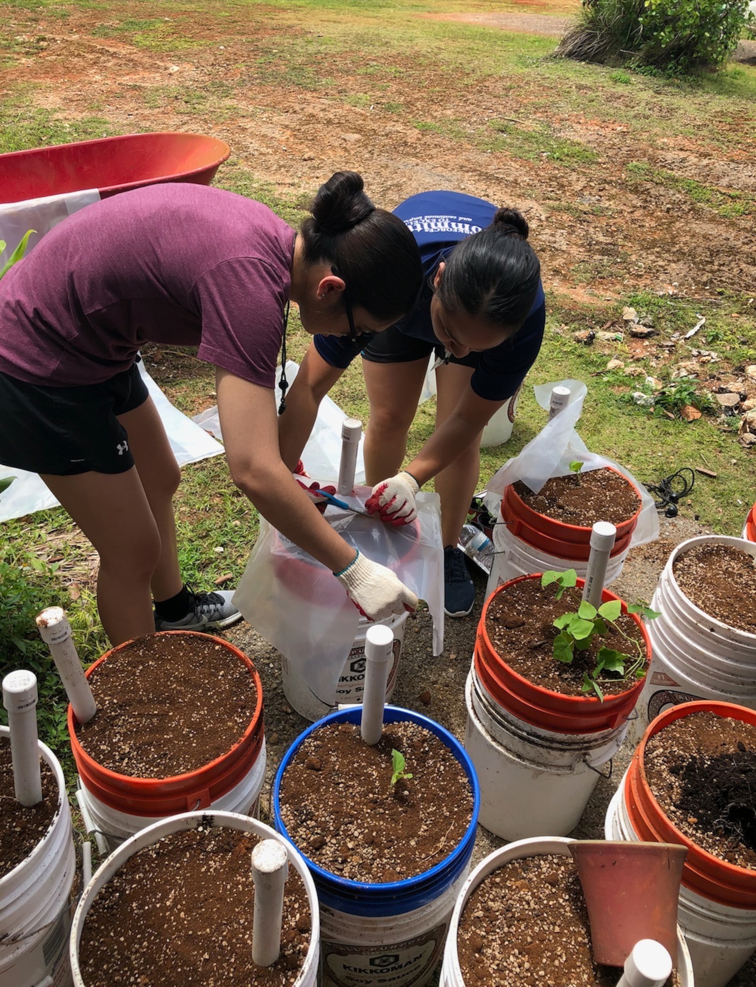 Members of the Air Force Reserve’s 624th Regional Support Group’s Development and Training Flight volunteered April 18, 2018, in Dededo, Guam, for a non-profit organization Island Girl Power where they planted vegetables during their unit training assembly. The D&TF is a program designed to prepare new enlistees physically and mentally for basic training. (Courtesy photo)