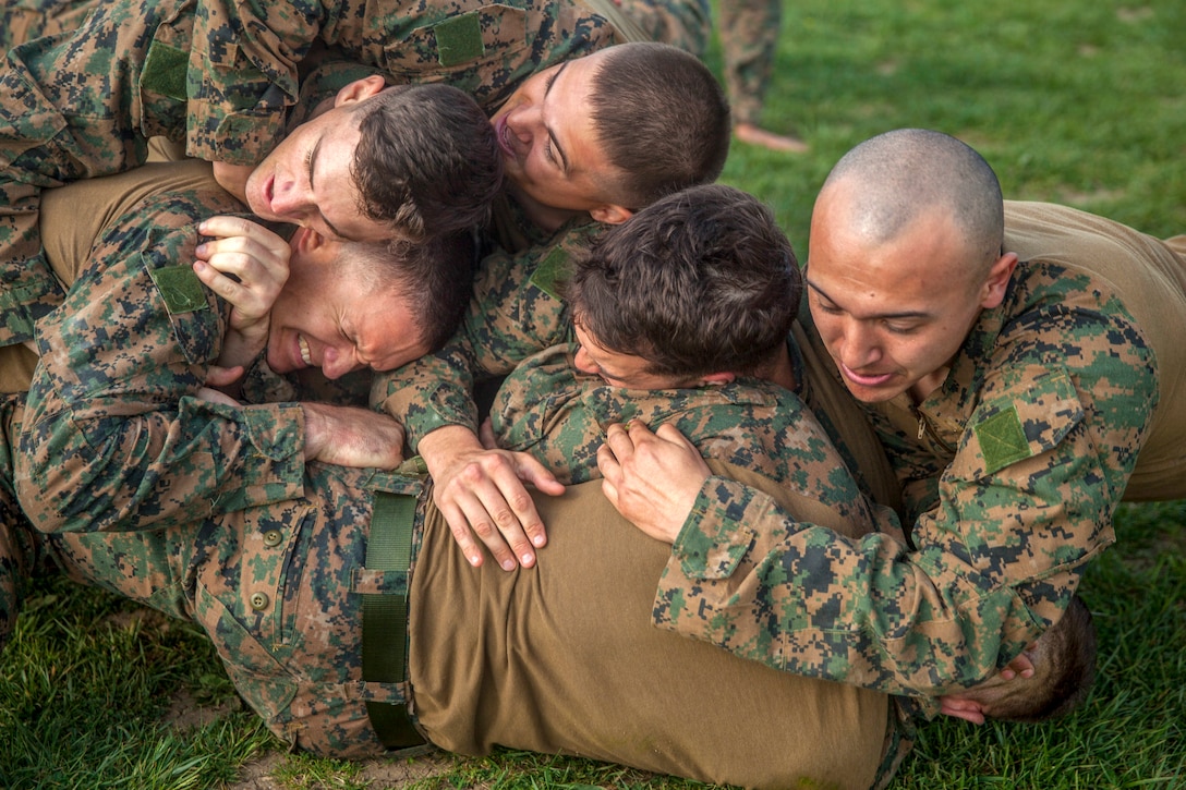 Six Marines wrestle on the grass.