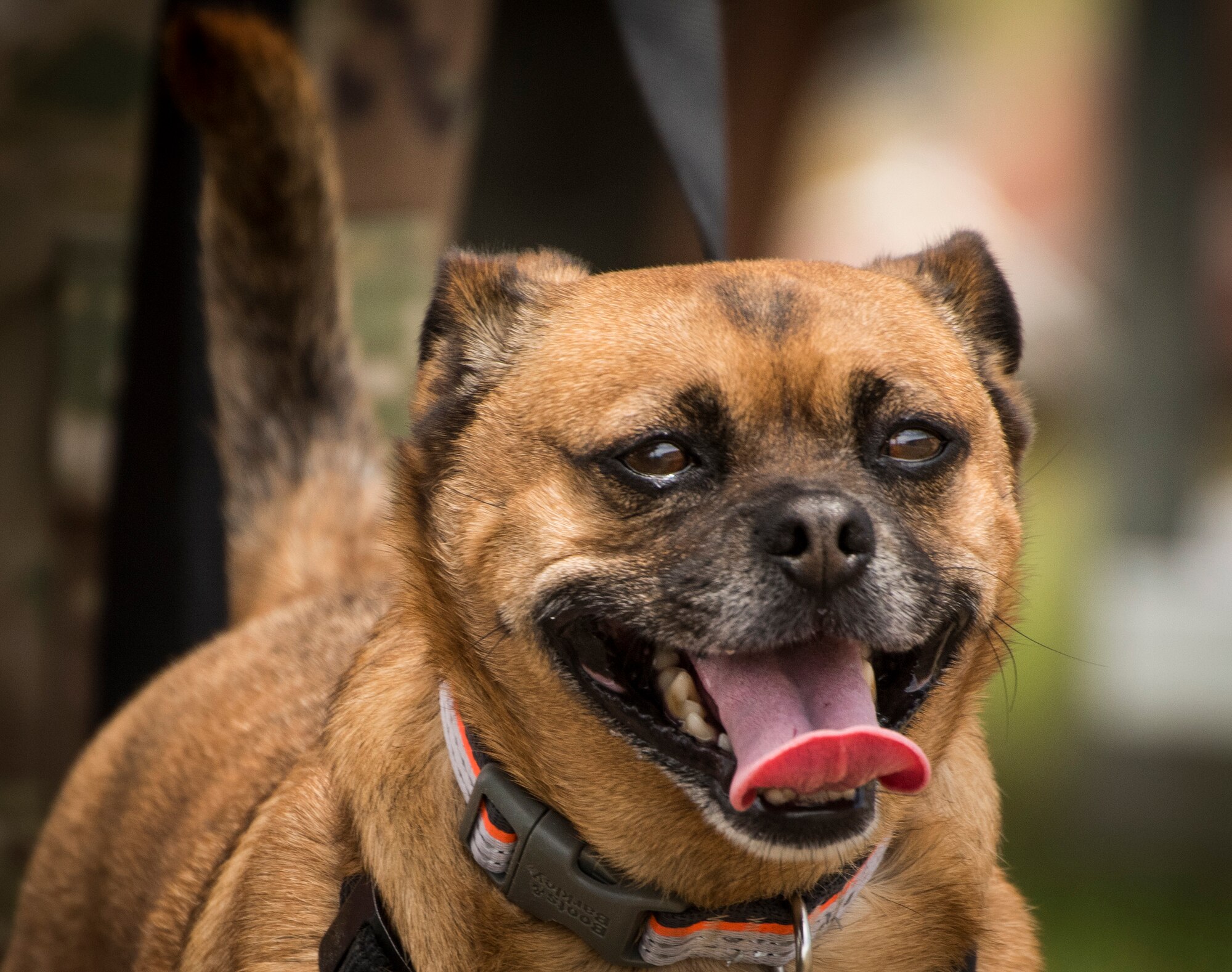 Ranger Open House 2018