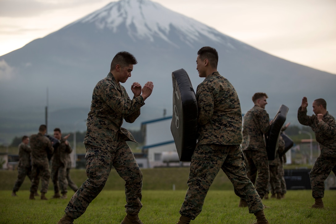 Marines execute vertical knife hand strikes during a Marine Corps Martial Arts Program course May 3 aboard Combined Arms Training Center Camp Fuji, Japan. MCMAP is a continuously developing combat system that combines hand-to-hand and close quarter techniques with lessons on warrior ethos, leadership and teamwork. Many Marines on Camp Fujiuse the free time they have to participate in MCMAP to become more efficient and combat ready warfighters.