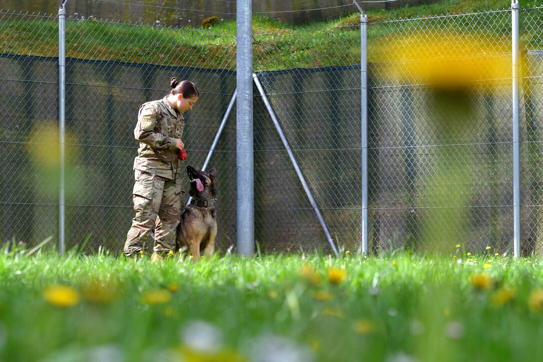 A soldier and her military working dog wait for further instructions.