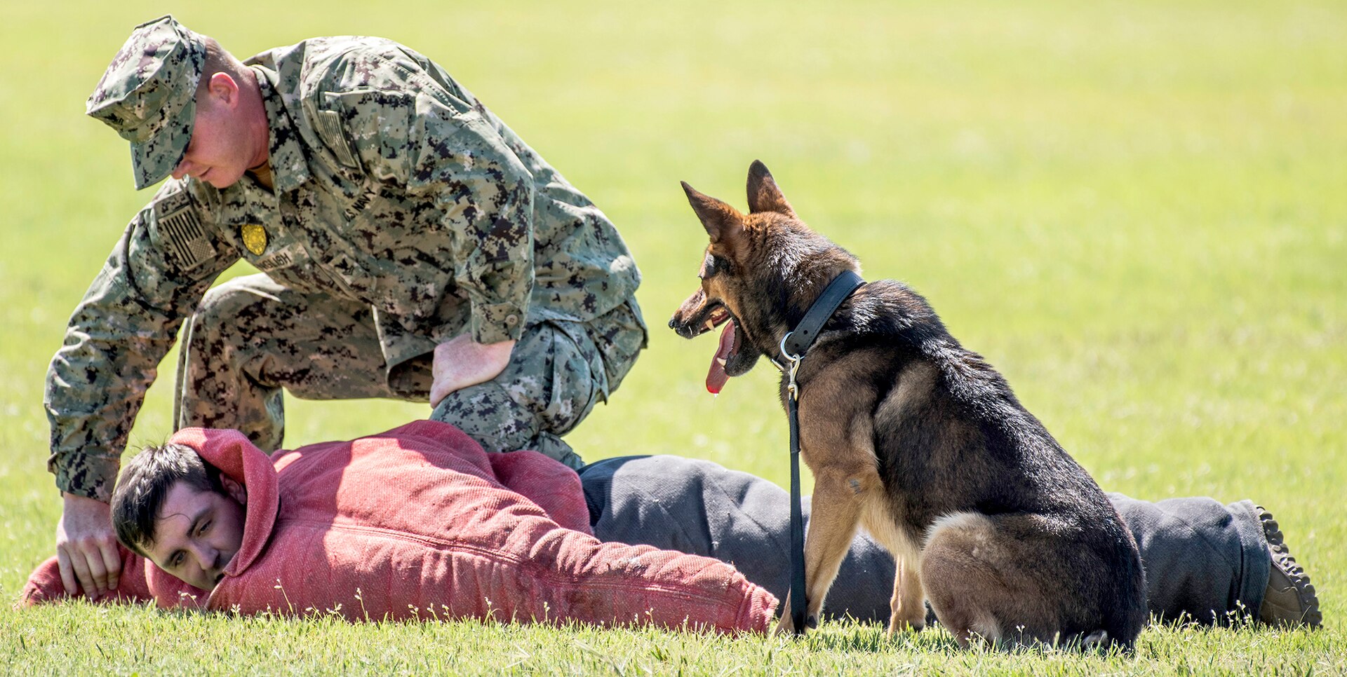 The Navy Working Dog Team performs a demonstration May 5 at MacArthur Parade Field at Joint Base San Antonio-Fort Sam Houston during the Military Appreciation Weekend celebration May 5-6.